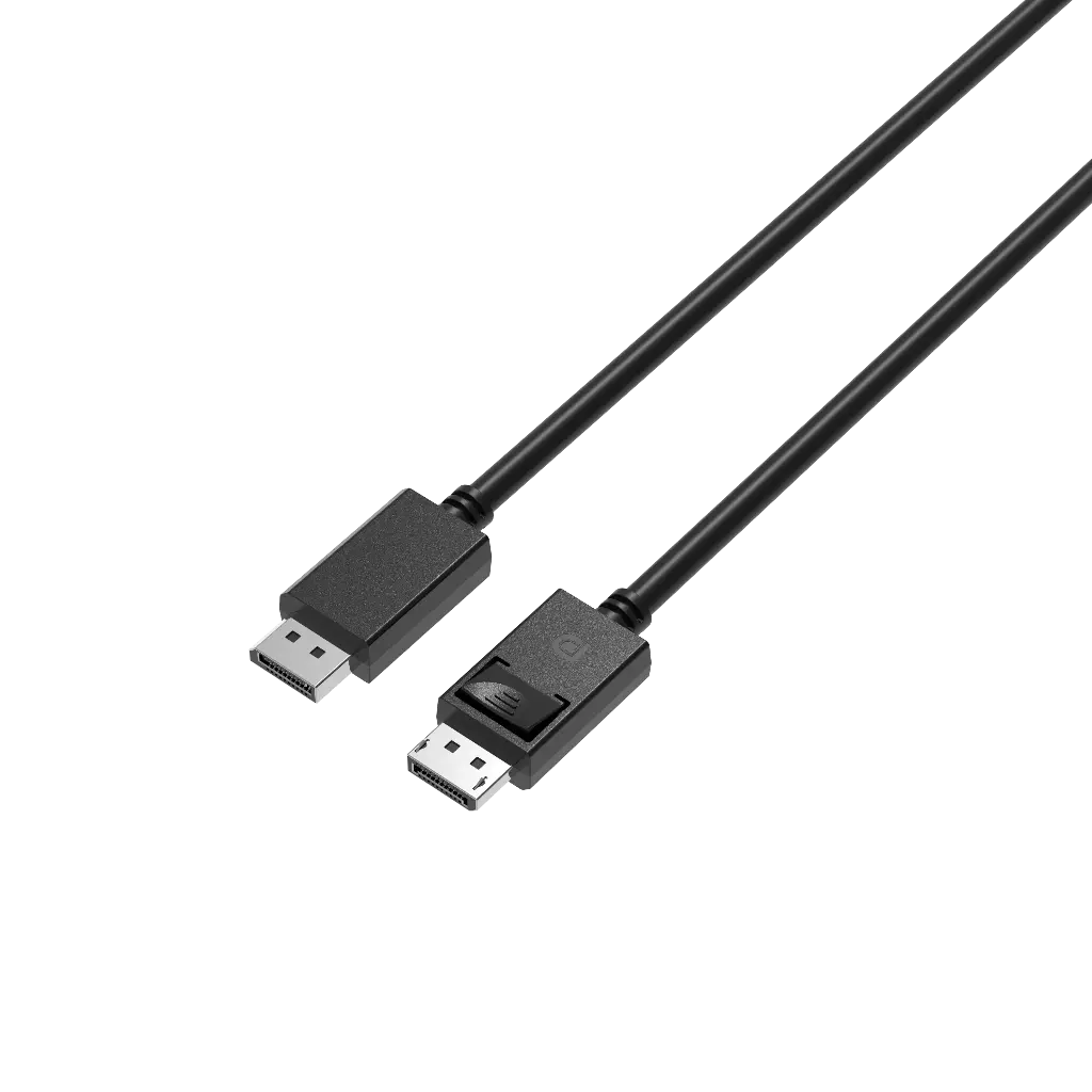 DisplayPort to DisplayPort - 1.6 Meter - DP 2.1 
